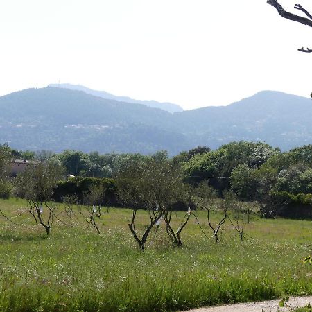Le Charme D'Une Vieille Bastide Provencale Solliès-Pont エクステリア 写真