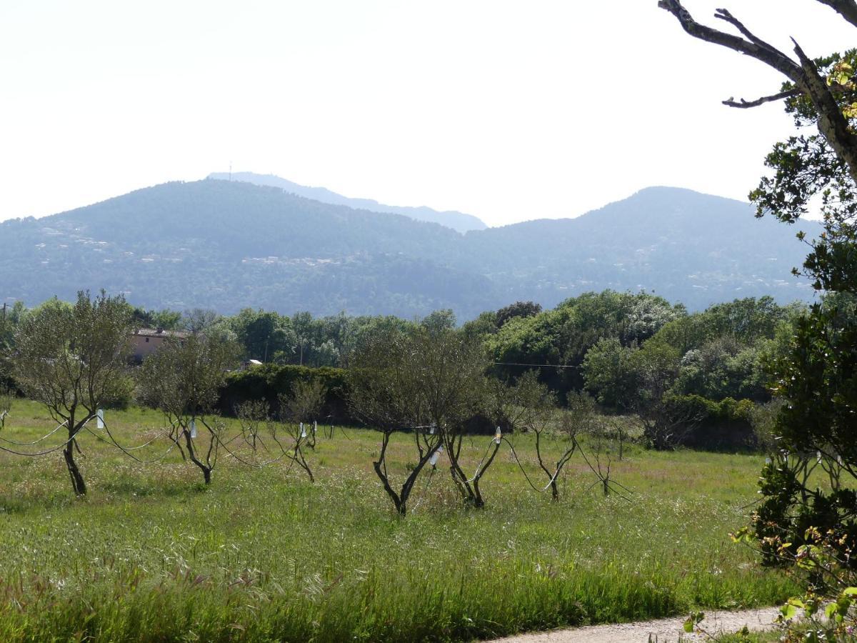 Le Charme D'Une Vieille Bastide Provencale Solliès-Pont エクステリア 写真