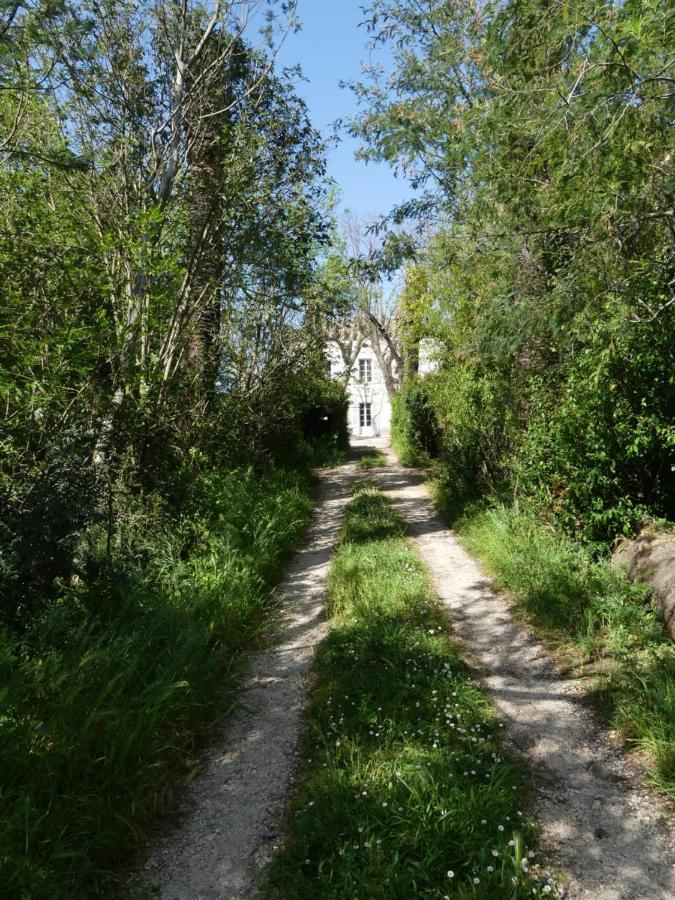 Le Charme D'Une Vieille Bastide Provencale Solliès-Pont エクステリア 写真