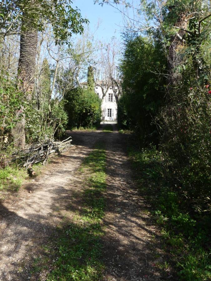 Le Charme D'Une Vieille Bastide Provencale Solliès-Pont エクステリア 写真